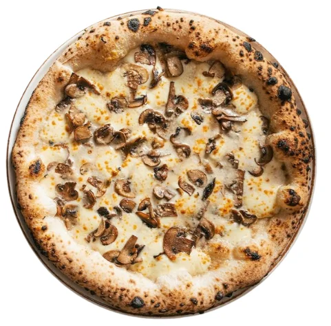 Mushroom & Truffle Oil Pizza